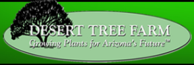 Desert Tree Farm